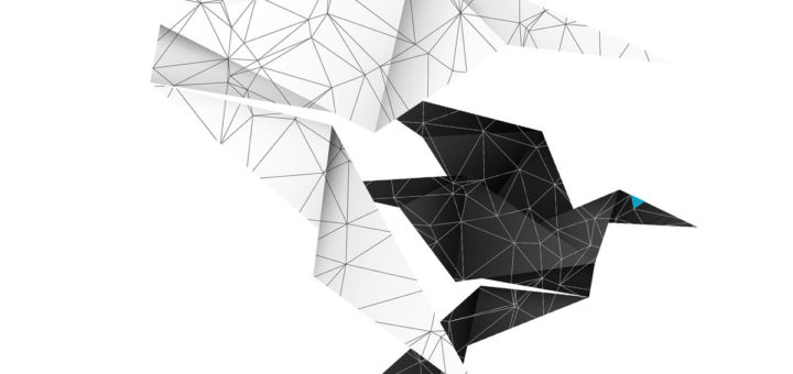 Alex Cordo: Origami