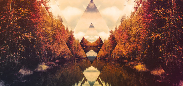 Weedpecker: III
