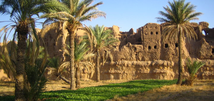 "Desert Oasis" par Gabriel White
